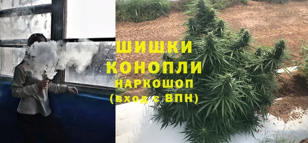 сатива Алзамай