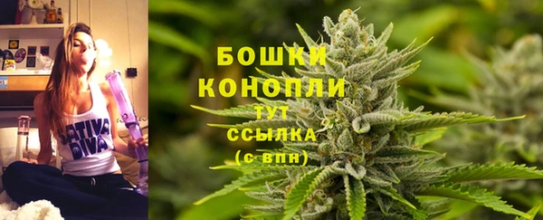 трава Абаза