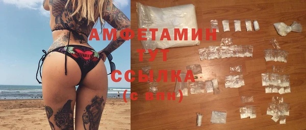 сатива Алзамай