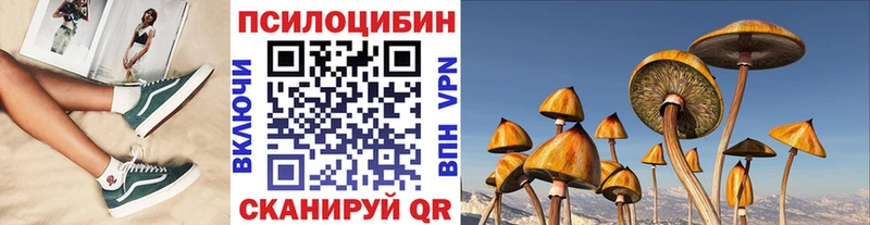 Псилоцибиновые грибы ЛСД hydra ссылки Протвино купить наркотики сайты